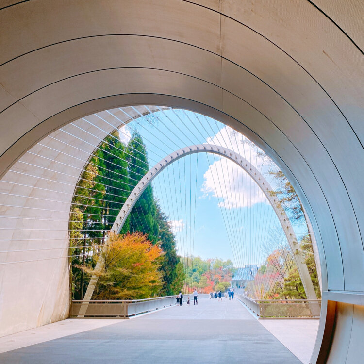 さたゆうさんの投稿/MIHO MUSEUM ｜ ことりっぷ