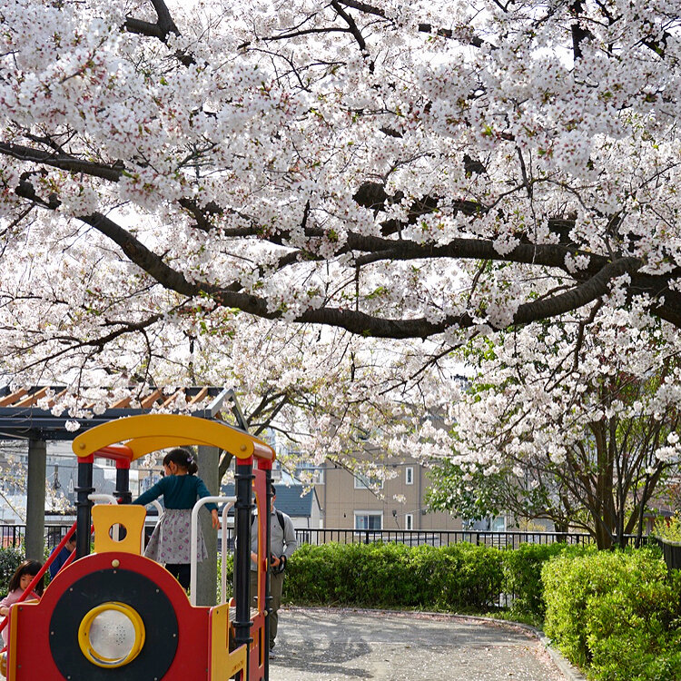 Merryさんの投稿 掃部山公園 ことりっぷ