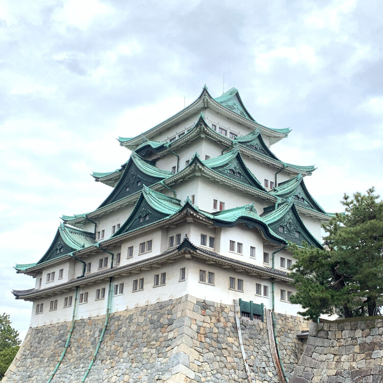 楽天市場】額入り インテリア 絵 名古屋城 桜 名古屋限定 金鯱