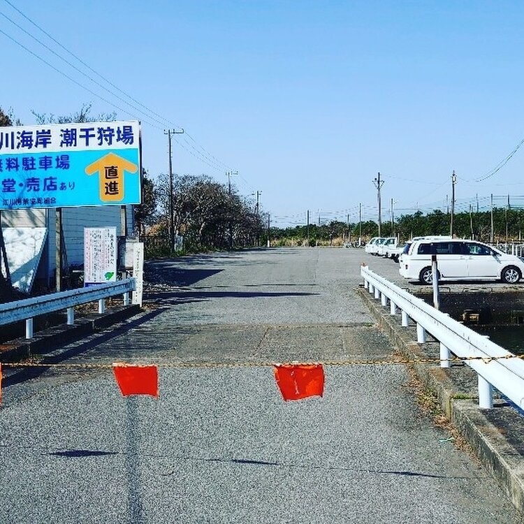 辞めました ふらっとクリスさんの投稿 久津間海岸潮干狩り場 ことりっぷ