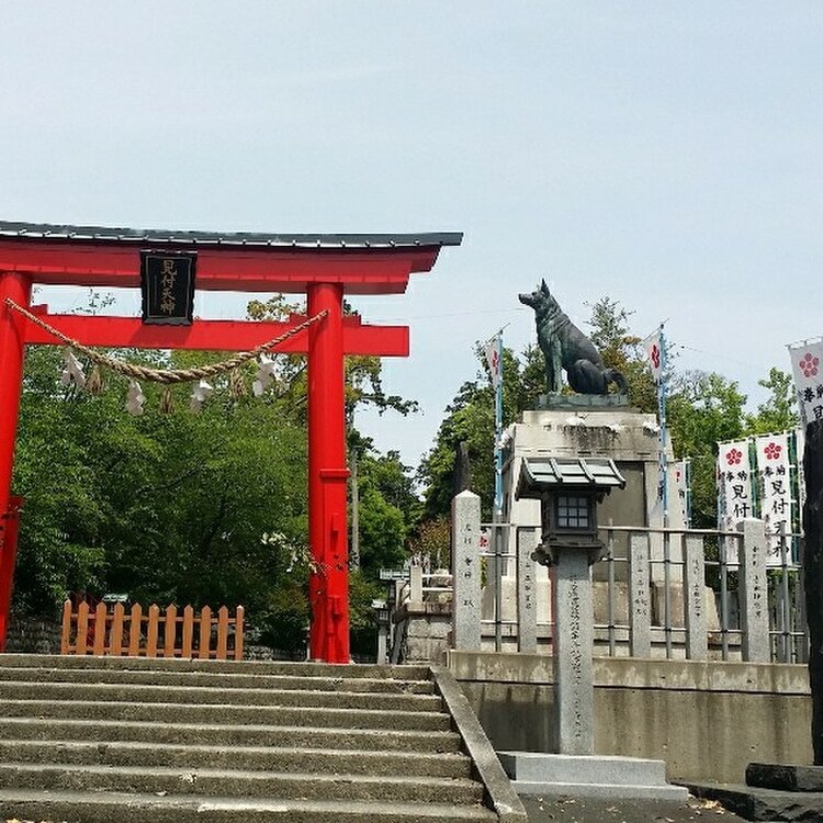 人気特価 おちゃ5959さんの投稿/見付天神社 ｜ ことりっぷ その他
