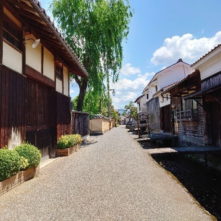 柿みのるころー白壁の土蔵 柿みのるころー白壁の土蔵