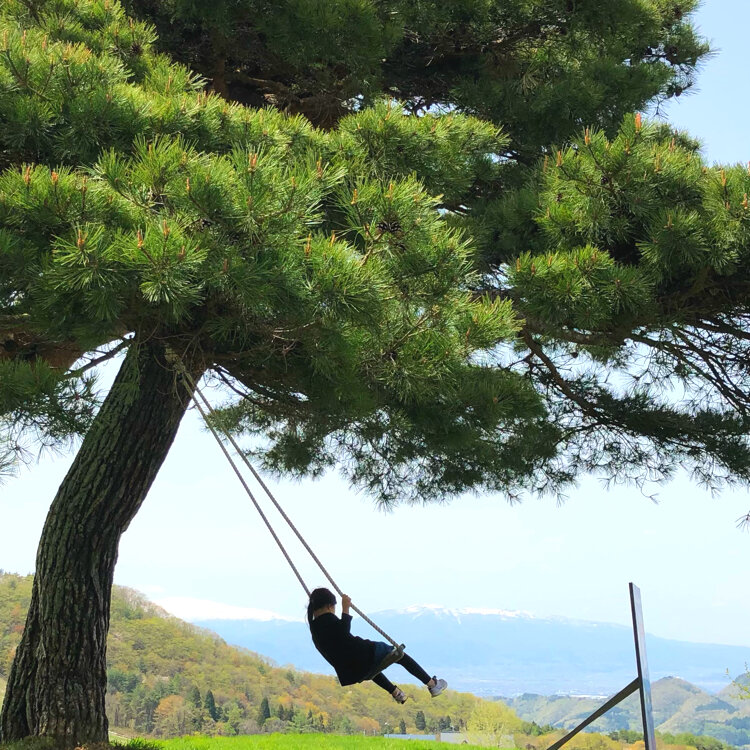 yumeichirouさんの投稿/634の松 ｜ ことりっぷ