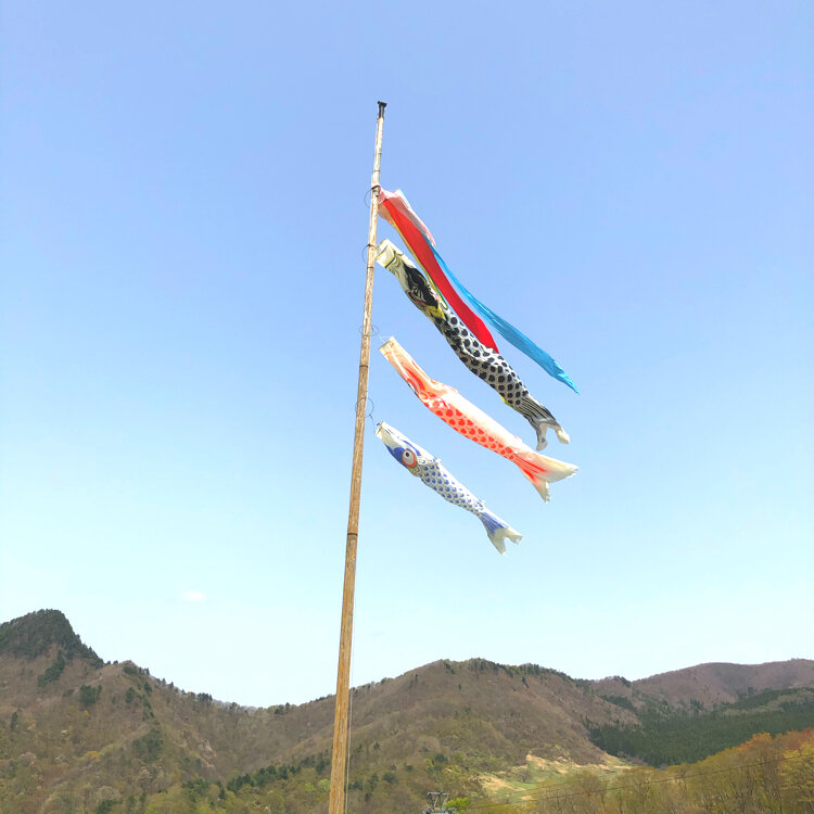 yumeichirouさんの投稿/634の松 ｜ ことりっぷ