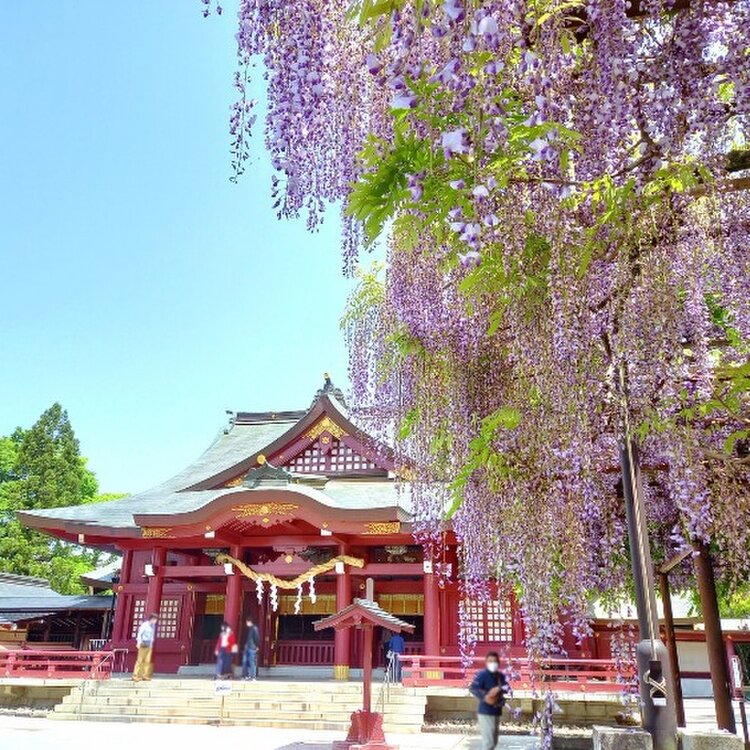 ueさんの投稿/笠間稲荷神社 ｜ ことりっぷ