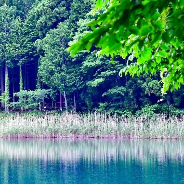 ふるさと納税 山梨県 市川三郷町 伝説の湖　四尾連湖畔の宿　宿泊券（1名1泊2食）[5839-0085] ふるさと納税 山梨県 市川三郷町 伝説の湖 四尾連湖畔の宿