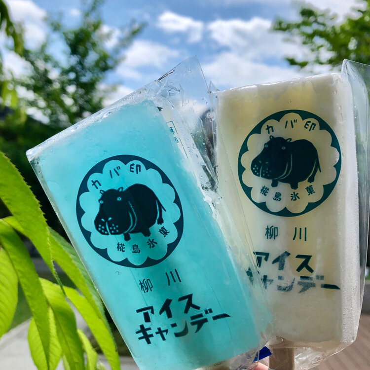 氷菓 しおり WIND BREAKER ブックマークコレクション しおり レア 桜遥 梶蓮