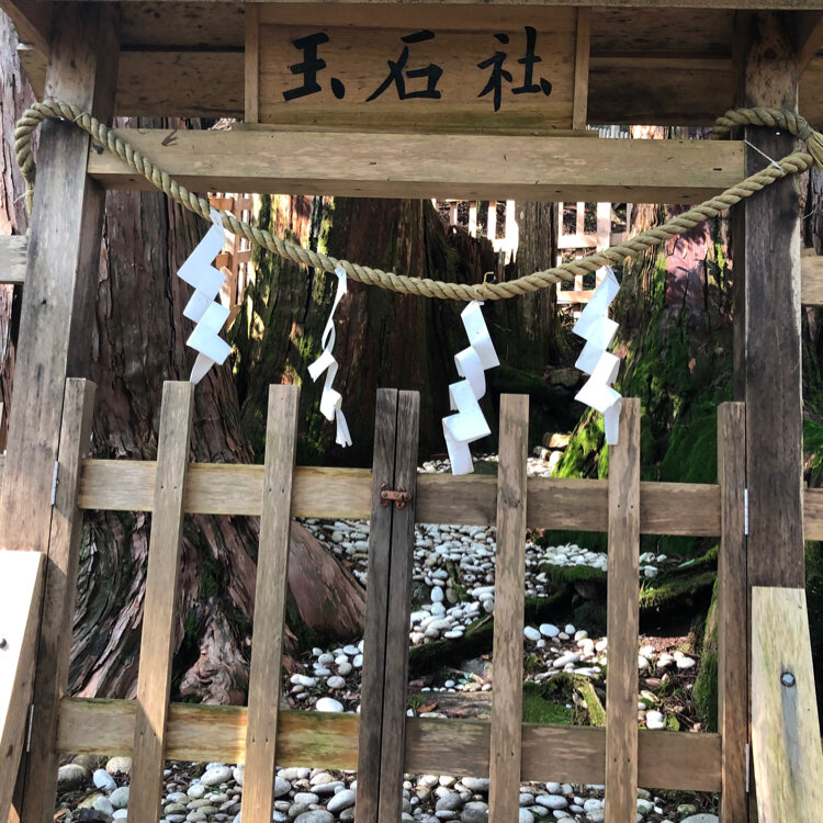 chi-koさんの投稿/玉置神社 ｜ ことりっぷ