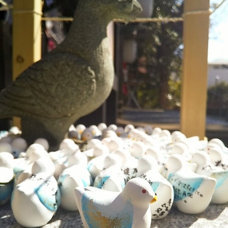 くまゴロンさんの投稿/茅ヶ崎市鶴嶺八幡宮 ｜ ことりっぷ