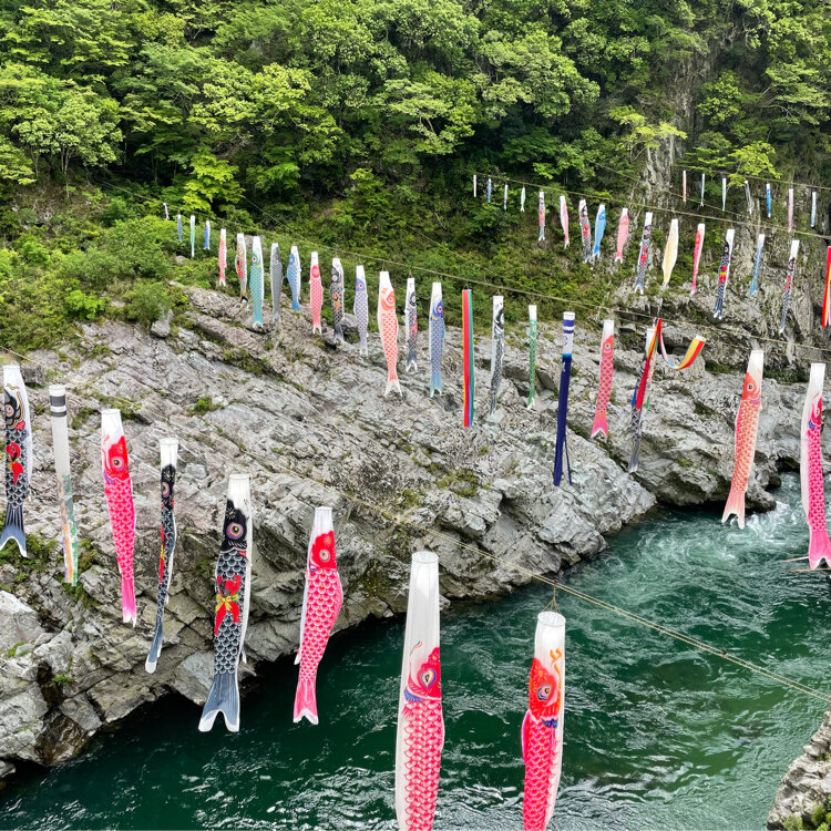 旅ずきん さんの投稿 大歩危峡観光遊覧船 ことりっぷ