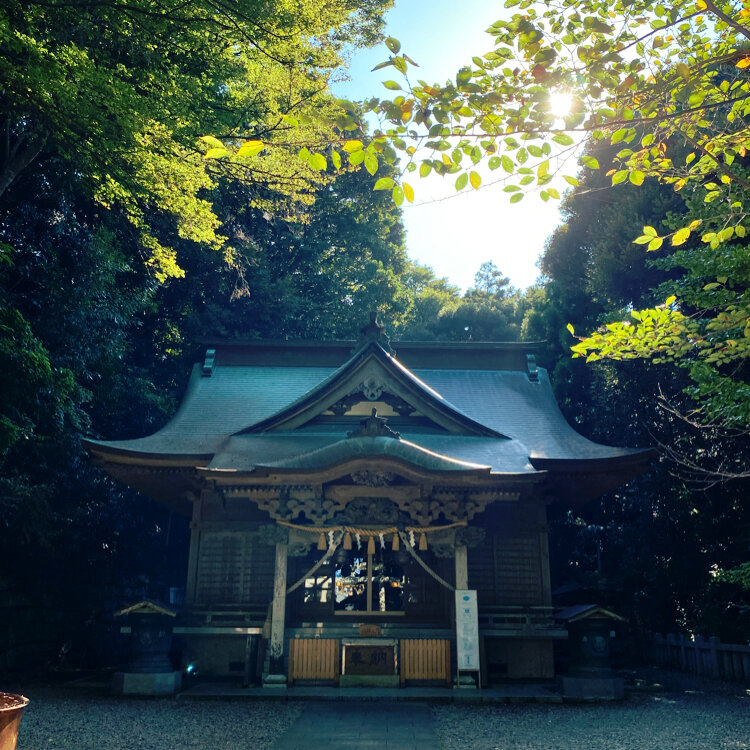 泉神社 - （茨城県）の詳細情報 ｜ ことりっぷ