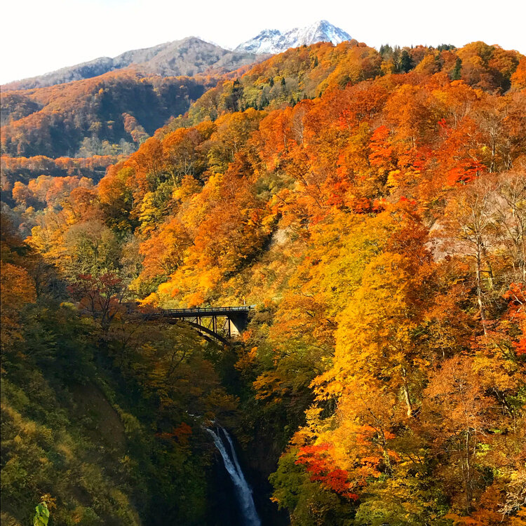 妙高山 - （新潟県）の詳細情報 ｜ ことりっぷ
