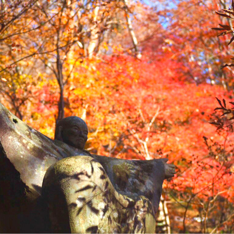 よつばさんの投稿/長安寺 ｜ ことりっぷ