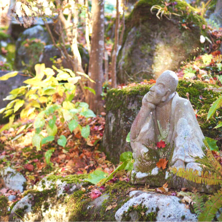 よつばさんの投稿/長安寺 ｜ ことりっぷ