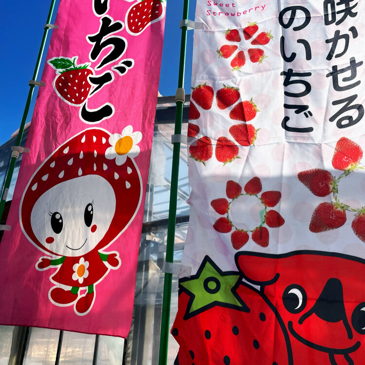 まりりんさんの投稿/船橋市本郷町516-1 ｜ ことりっぷ
