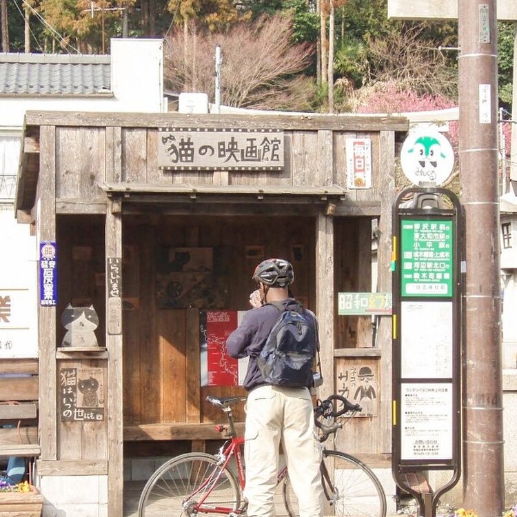 malteseさんの投稿/住吉神社前バス停 ｜ ことりっぷ