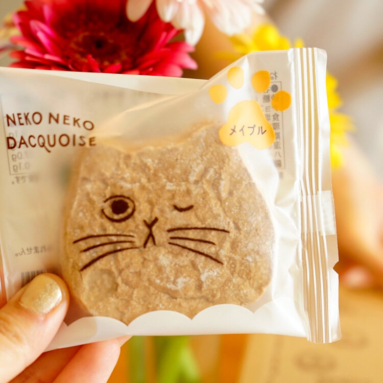 merryさんの投稿/北野エース ｜ ことりっぷ