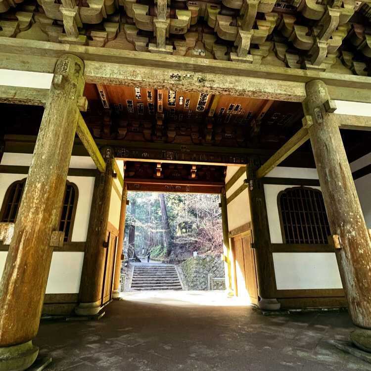 円山派概説 大乗寺 大乗寺 | 円山派デジタルミュージアム | 円山応挙 | |