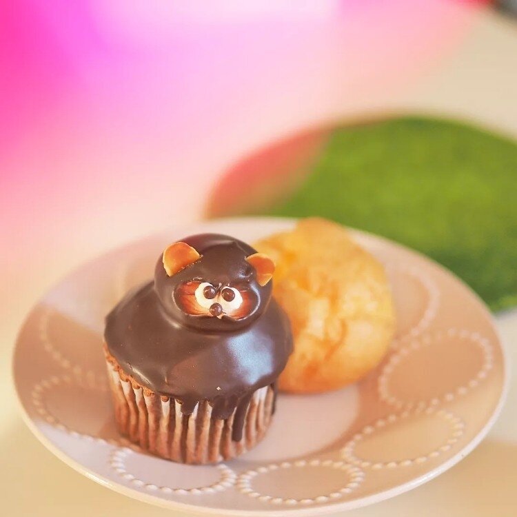 たぬきさん♡カップケーキ