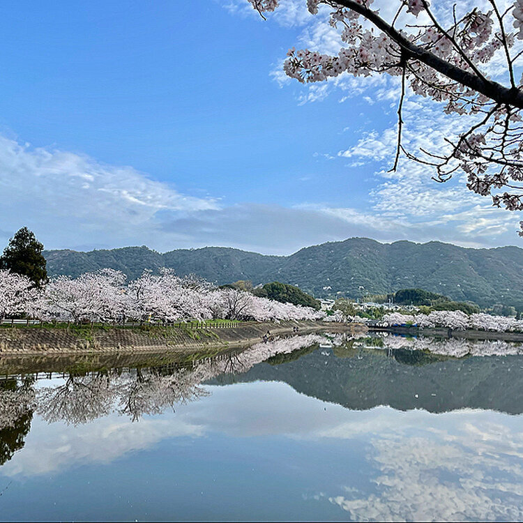 Inachanさんの投稿 立岡自然公園 ことりっぷ