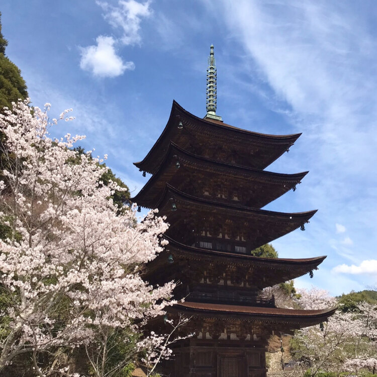 Yamaguchi City Tourism Information Website Nishinokyo
