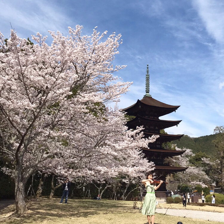 SP記念‼️お城✨お寺✨桜咲く✨瑠璃光寺✨五重の塔✨SPハイグレード、ジオラマ SP記念‼️お城✨お寺✨桜咲く✨瑠璃光寺✨五重の塔✨SPハイ
