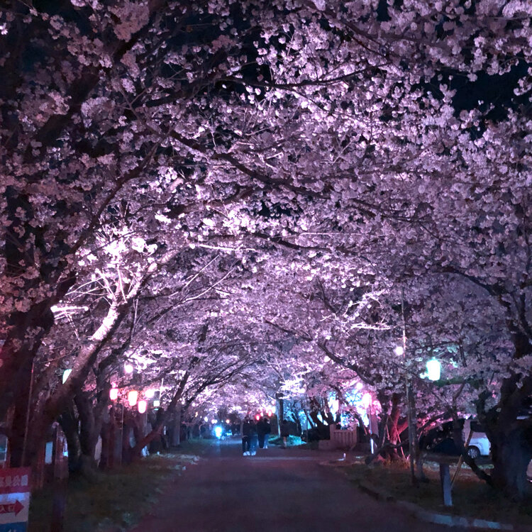 happyさんの投稿/岩脇公園 ｜ ことりっぷ