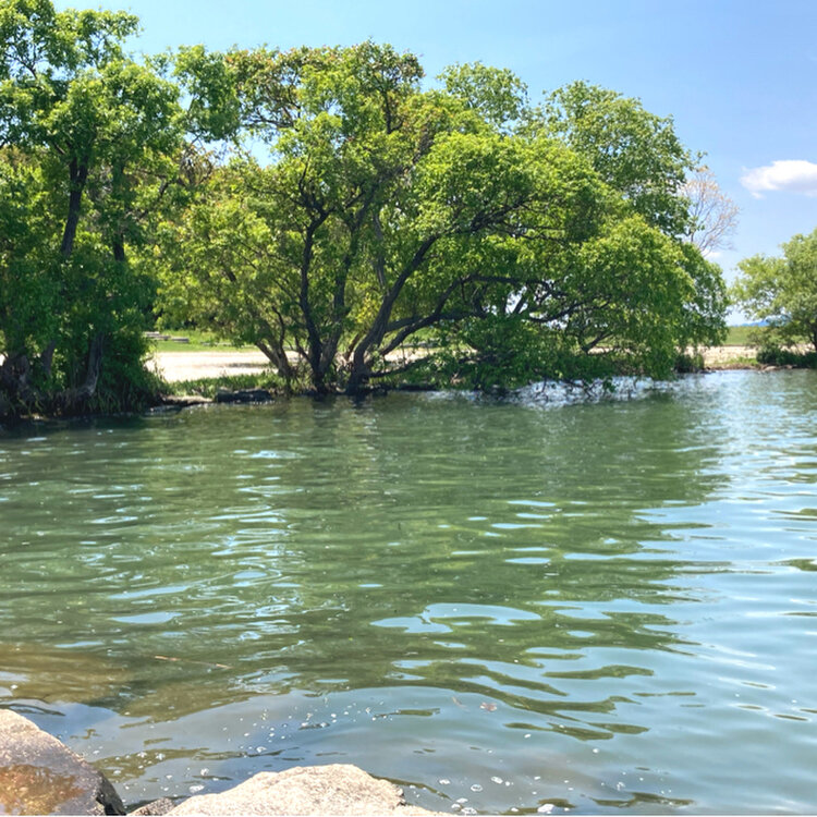 mooon✳︎さんの投稿/ホワイトビーチ ｜ ことりっぷ