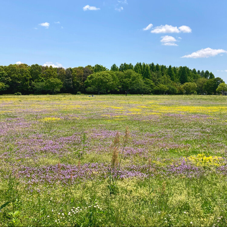 mooon✳︎さんの投稿/ホワイトビーチ ｜ ことりっぷ