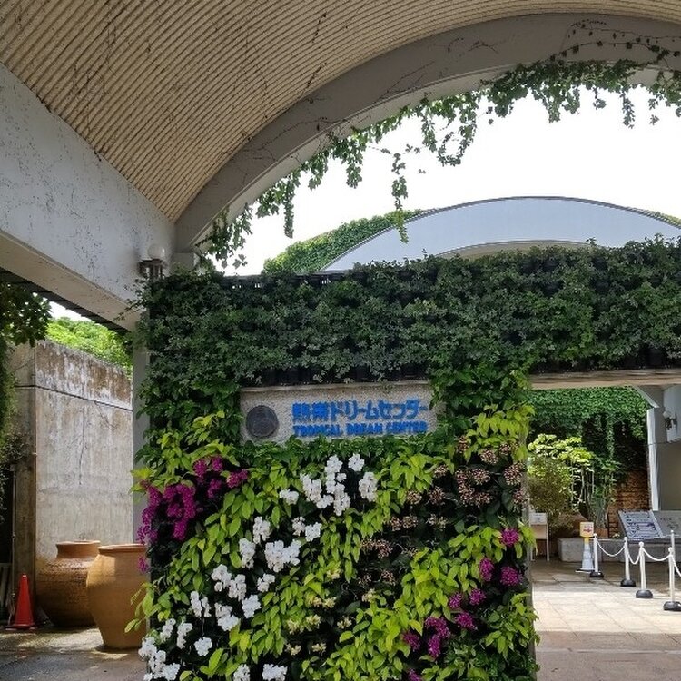 730Tomopyさんの投稿/国営海洋博記念公園 熱帯ドリームセンター
