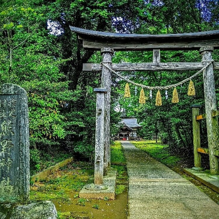 成田豊住熊野神社