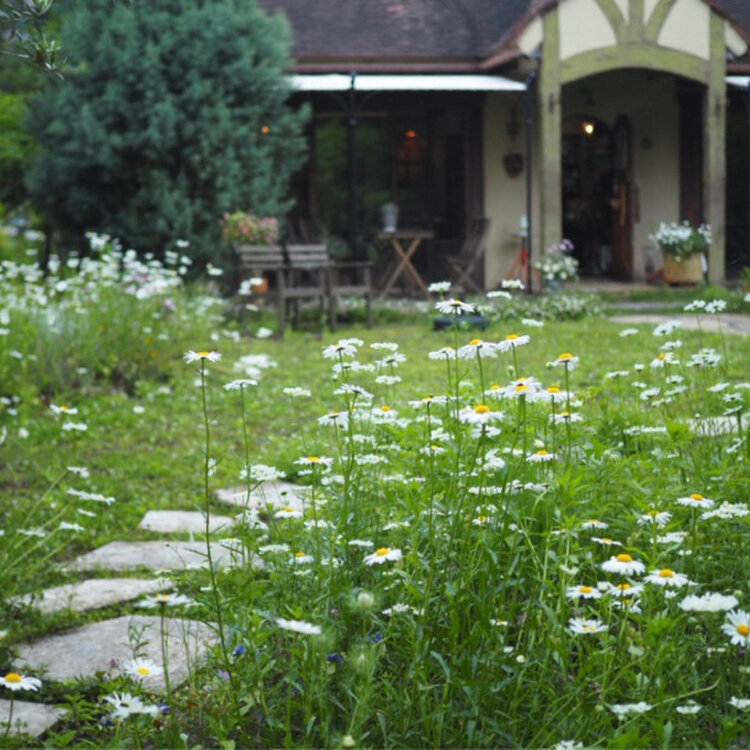 よつばさんの投稿/ひとやすみの庭 ｜ ことりっぷ