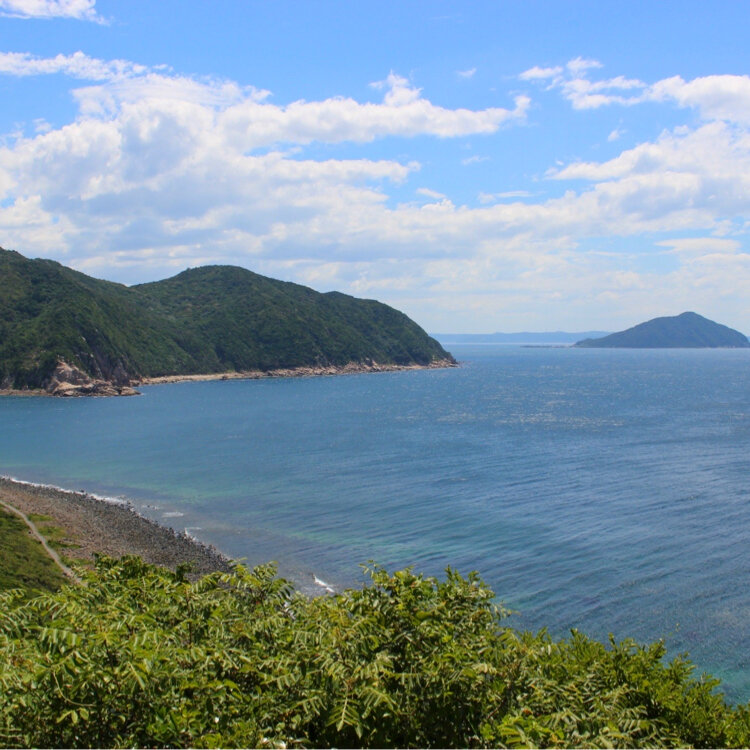 ひさんの投稿/糸島のトトロの森 ｜ ことりっぷ