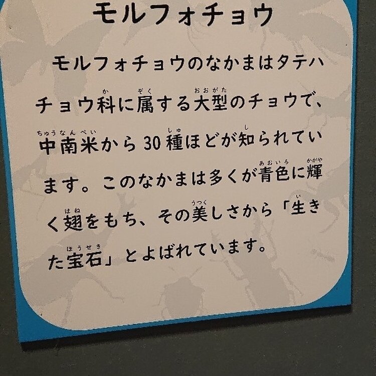 【中古】 ハパ・アメリカ 多人種化するアジアパシフィック系アメリカ人/御茶の水書房/ウォント盛香織 中古】 ハパ・アメリカ 多人種化するアジアパシフィック系