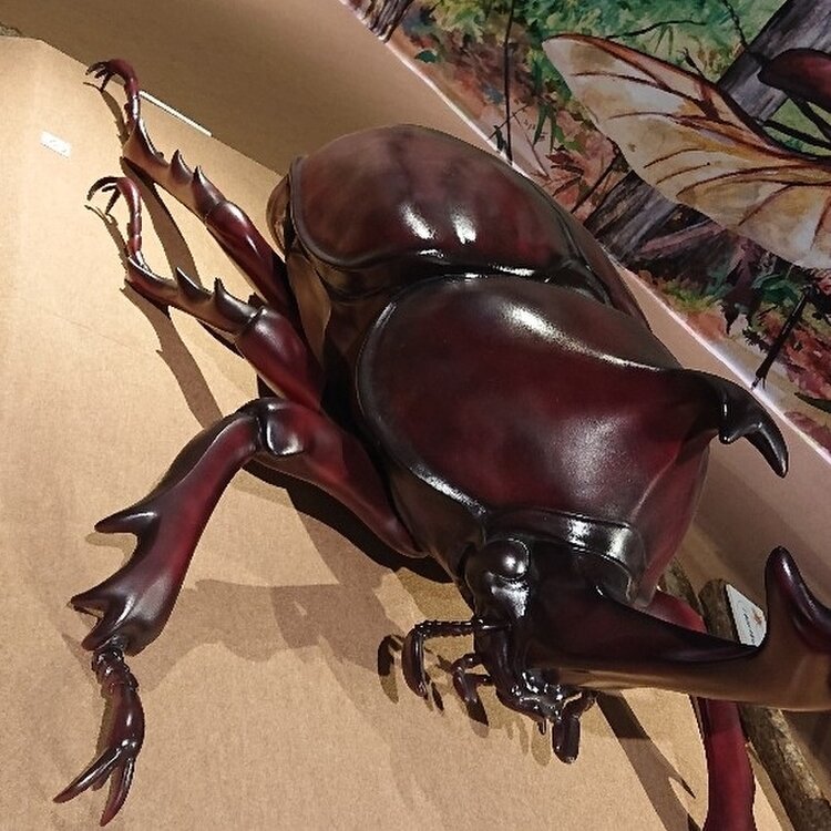 【中古】 ハパ・アメリカ 多人種化するアジアパシフィック系アメリカ人/御茶の水書房/ウォント盛香織 中古】 ハパ・アメリカ 多人種化するアジアパシフィック系