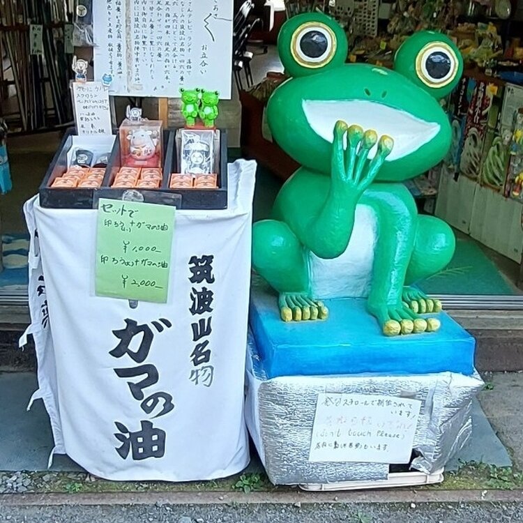 Rekoさんの投稿/筑波山 ｜ ことりっぷ