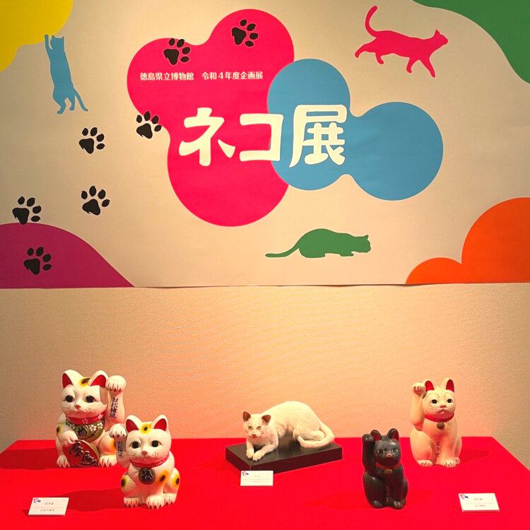 happyさんの投稿/徳島県文化の森総合公園 ｜ ことりっぷ