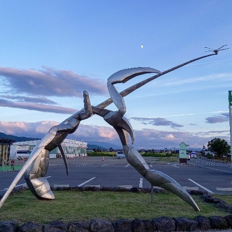 malteseさんの投稿/ファミリーマート安曇野オリンピックロード店