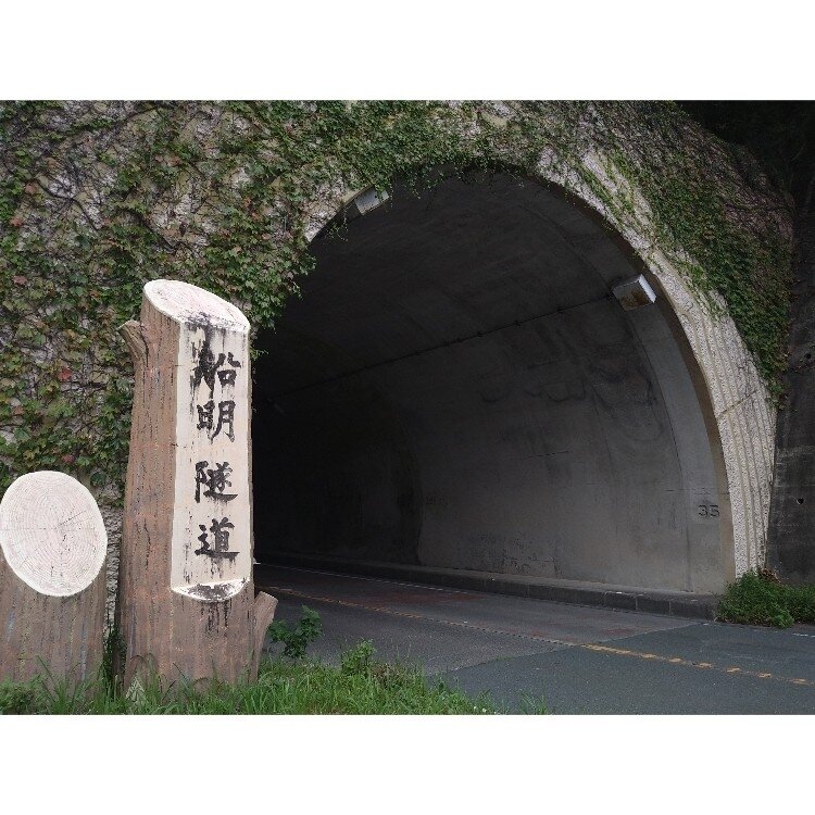 三島↔︎島田（裏側 沼津 浜松）行き先看板 三島↔︎島田（裏側