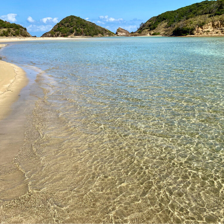 Woof woof UᵔᴥᵔUさんの投稿/辰の島 ｜ ことりっぷ