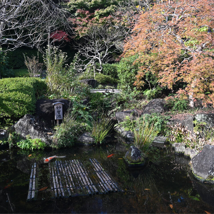 長谷寺 - （神奈川県）の詳細情報 ｜ ことりっぷ