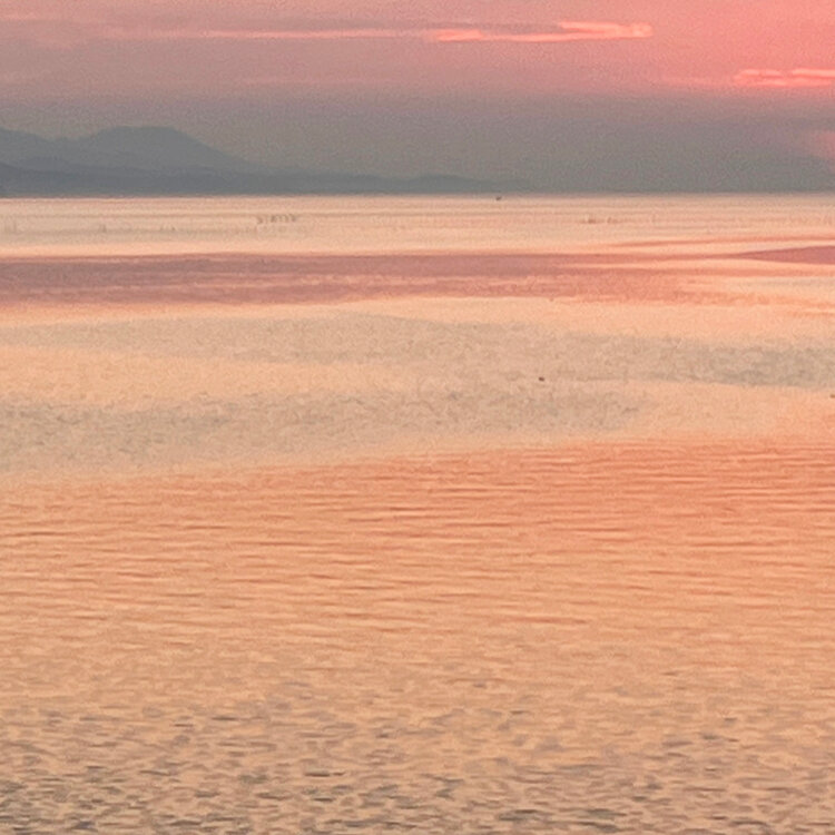 「宍道湖」掛軸　美品　日本画 風景画 島根県、宍道湖 ninjinの松江百景 蜆漁 宍道湖 by ninjin （ID：2248889