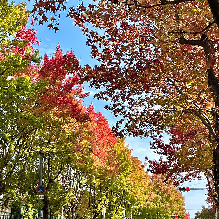 北千里三色彩道 - （大阪府）の詳細情報 ｜ ことりっぷ