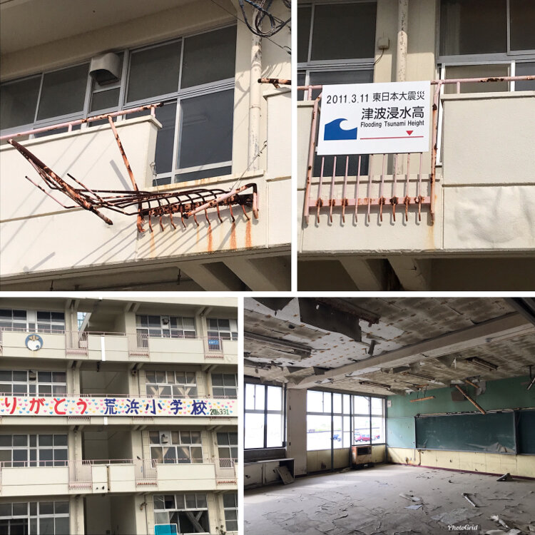 さっちぶうさんの投稿/荒浜小学校 ｜ ことりっぷ