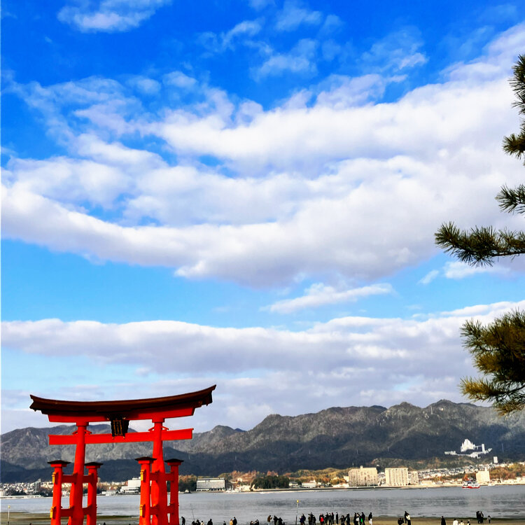 なお さんの投稿 厳島神社 ことりっぷ