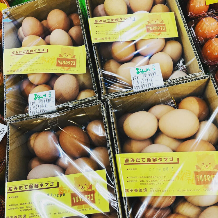 koinokuni_chikugoさんの投稿/ツルタのタマゴ（卵の自販機) ｜ ことりっぷ