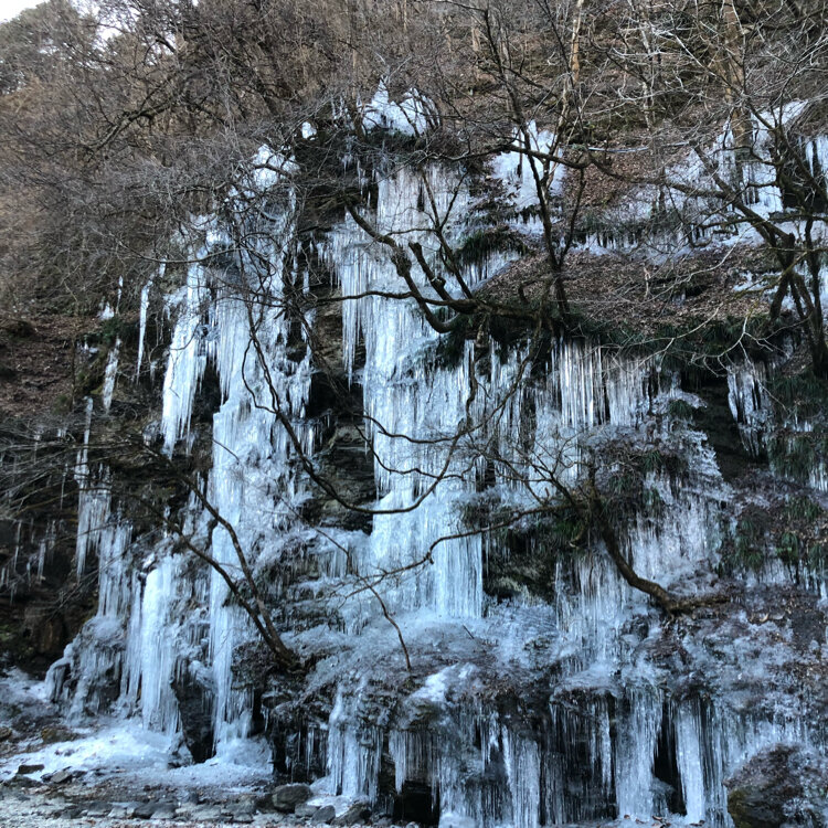 rerereさんの投稿/三十槌の氷柱 ｜ ことりっぷ