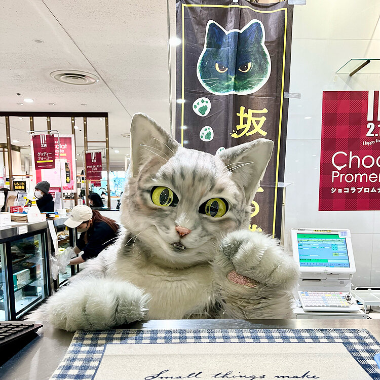 みよみよさんの投稿/プリン専門店 坂の上の猫 ｜ ことりっぷ