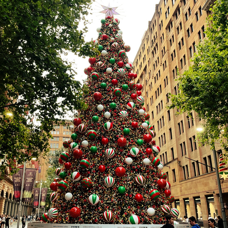 くっしーさんの投稿/Martin Place ｜ ことりっぷ