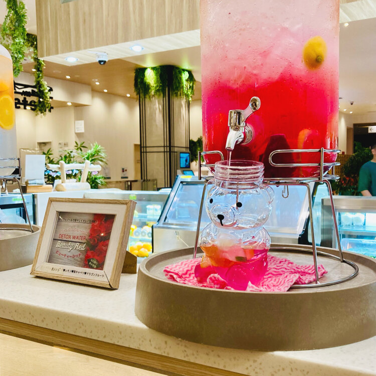 【中古】 楽しむ森林浴 おすすめの森ベスト５０付/ノラブックス/岩崎輝雄 中古】 楽しむ森林浴 おすすめの森ベスト50付/ノラブックス